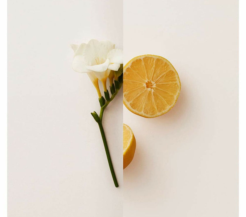 V5HC710AAA0E4DB465FD121BB8131E29AD9R4445253P3