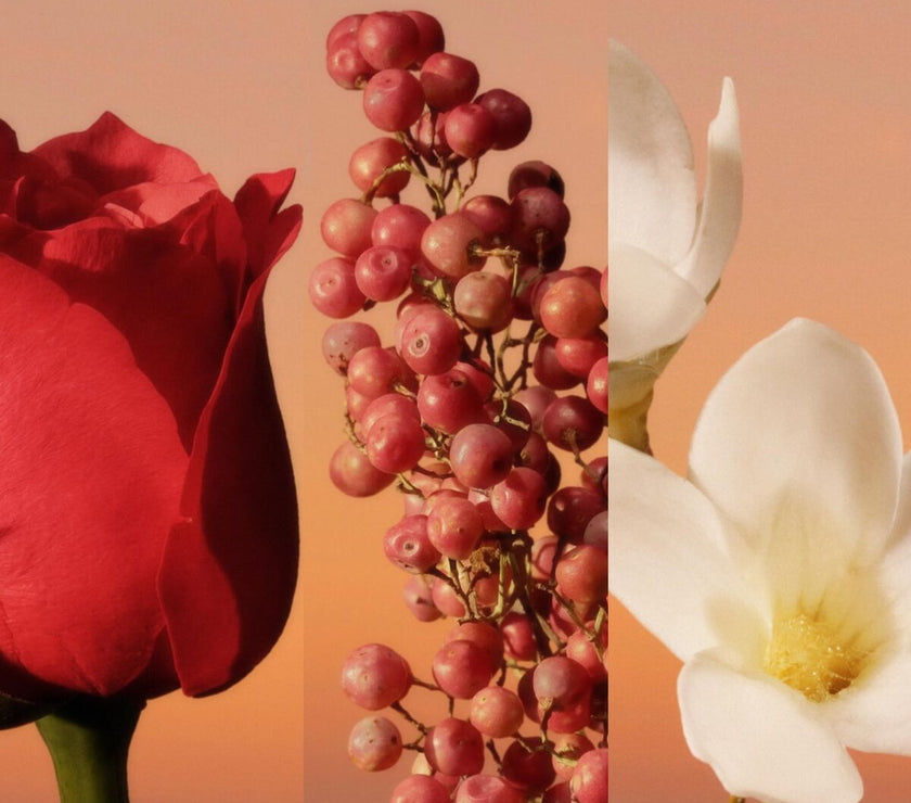 V2H0F5DDC916AB87D65A3F05F7623FDFFCFR7550202P4