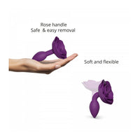 V5H255092748E25A29A930D30EFA1157338R5481630P4