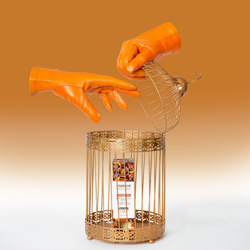 V6H40694A2C214522A825324F471999CCC9R4631729P7