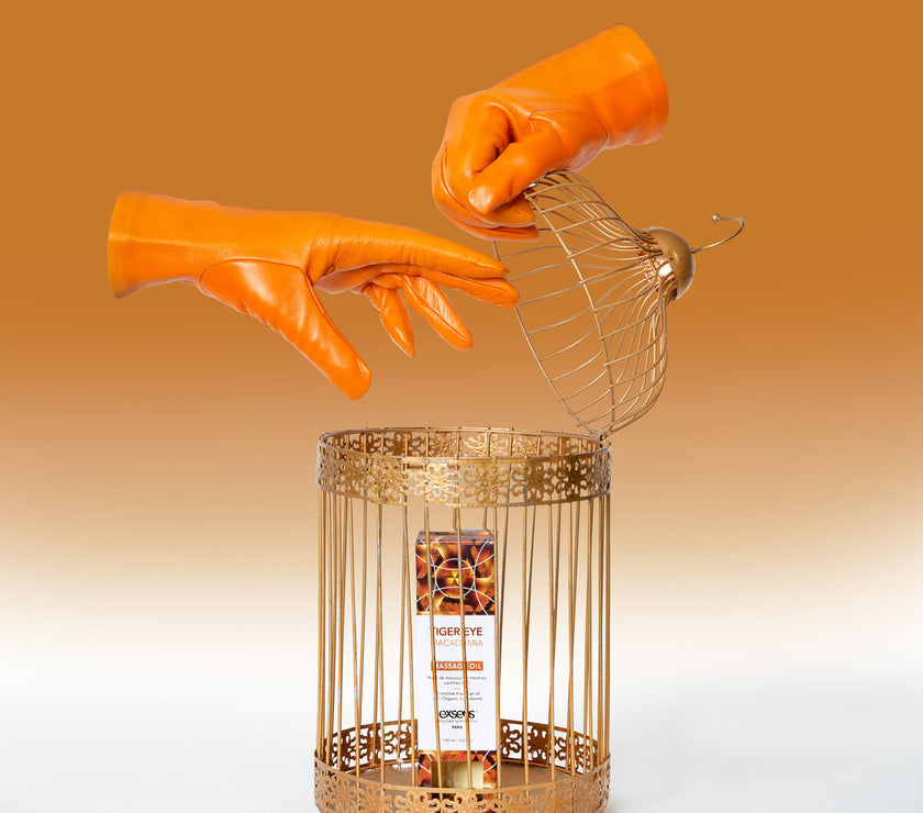 V4H40694A2C214522A825324F471999CCC9R4631729P7