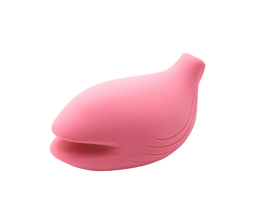 V2HE87CA15ECF46BACCE05CB92354645061R7428300P1