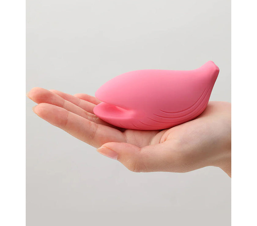 V2H8F9D93784165EE1433C3B8F5453DDBFER7428304P5