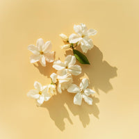 V3HC76D2598A3767FF1038EA1708FF6CAA4R7540636P2