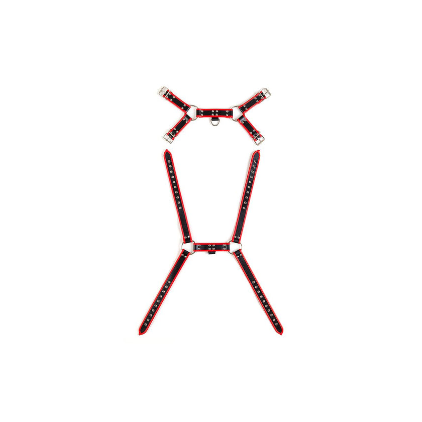 V4HE47190A74EE424F1A54755E380C329D9R5098517P2