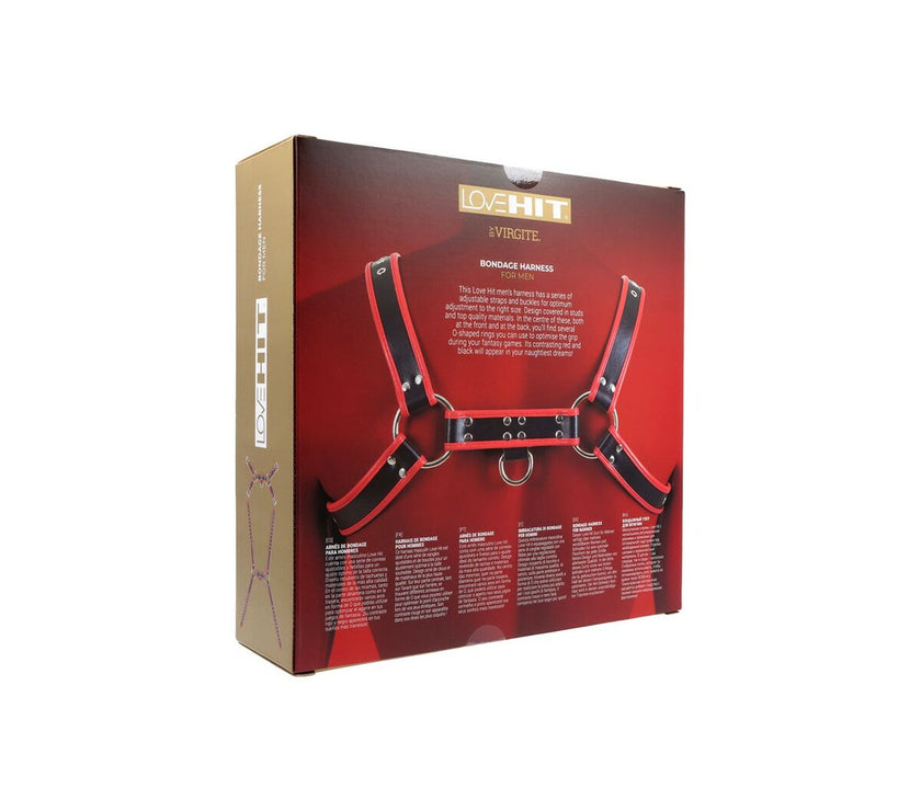 V4H06A97FE9DC06808D36DAECBA6F004127R5098523P4