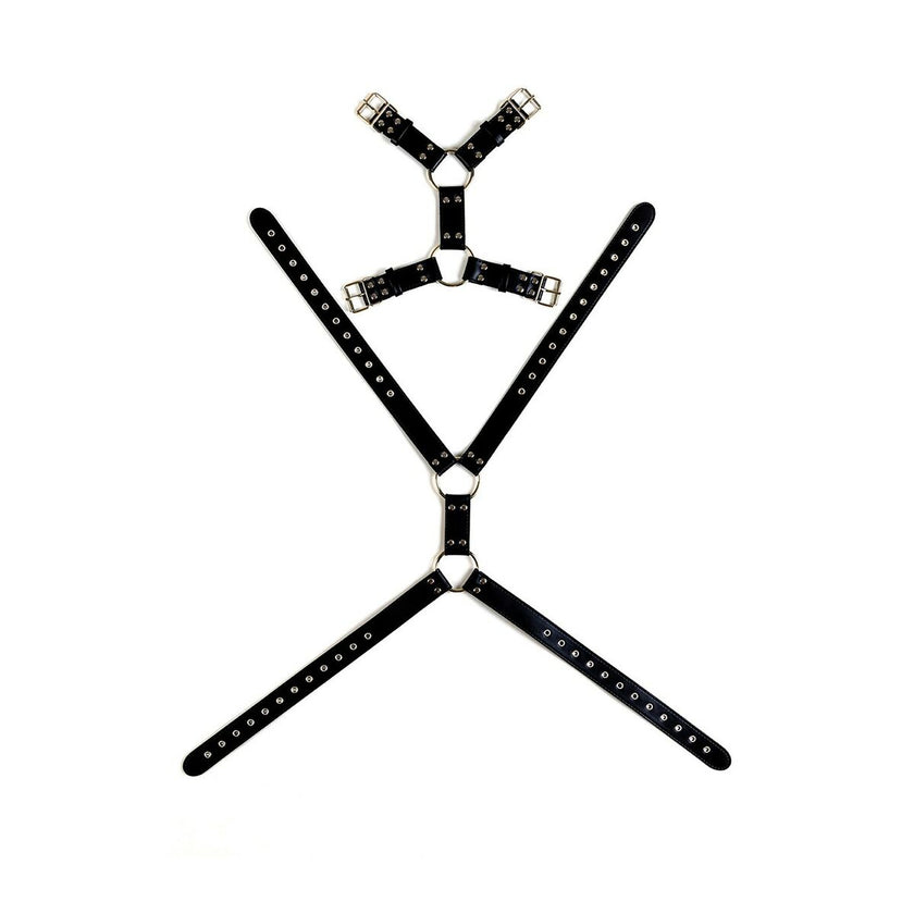 V5H8A1ED32B0D17257D05BABD904166A0B9R5098563P2