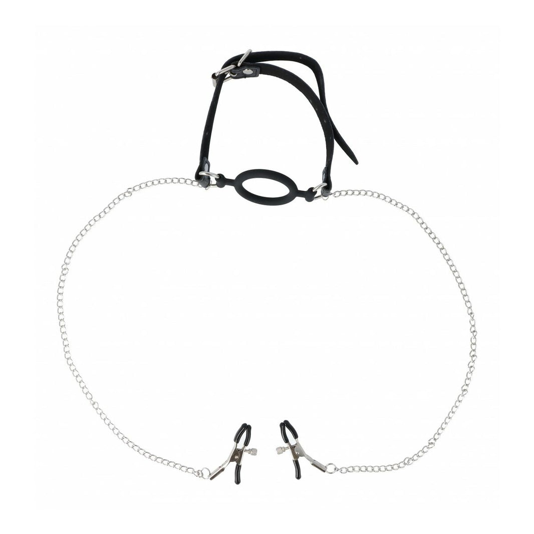 V4H89C3413491A1B44A5692875960312D53R5510599P1