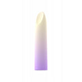 Kogel Vibrator Party Color Toys Roze