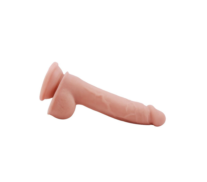 V4H524D541DCDA3DDFA48827142620ABB25R4851378P8