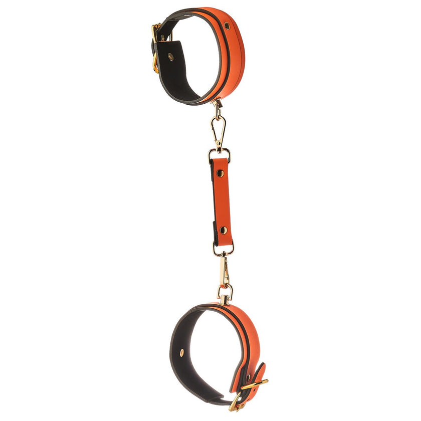 V6H77B0CD041A92F8DE297B56A282753E34R4877743P6