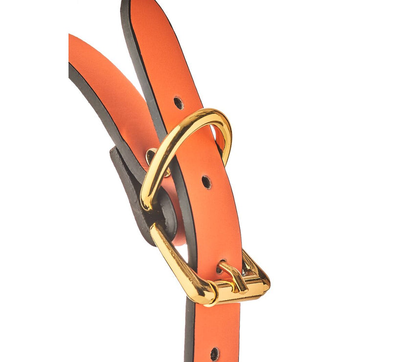 V5H217D9D9DAB96566D01AC8065556CDEB1R5078379P5