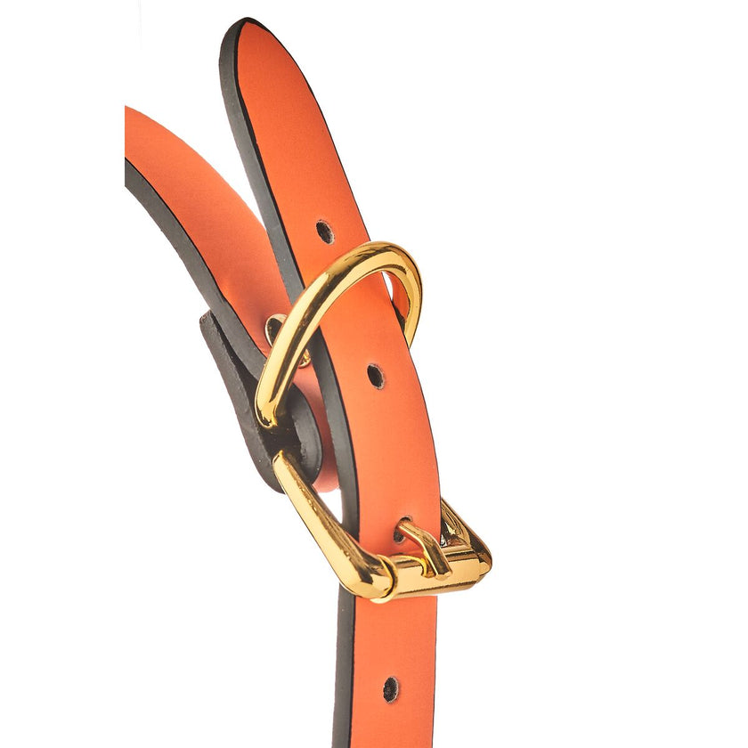 V5H217D9D9DAB96566D01AC8065556CDEB1R5078379P5