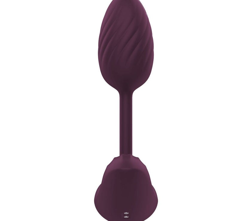 V4H884041BECBEDEB4F16F2EDCA69FA40F3R4916493P9