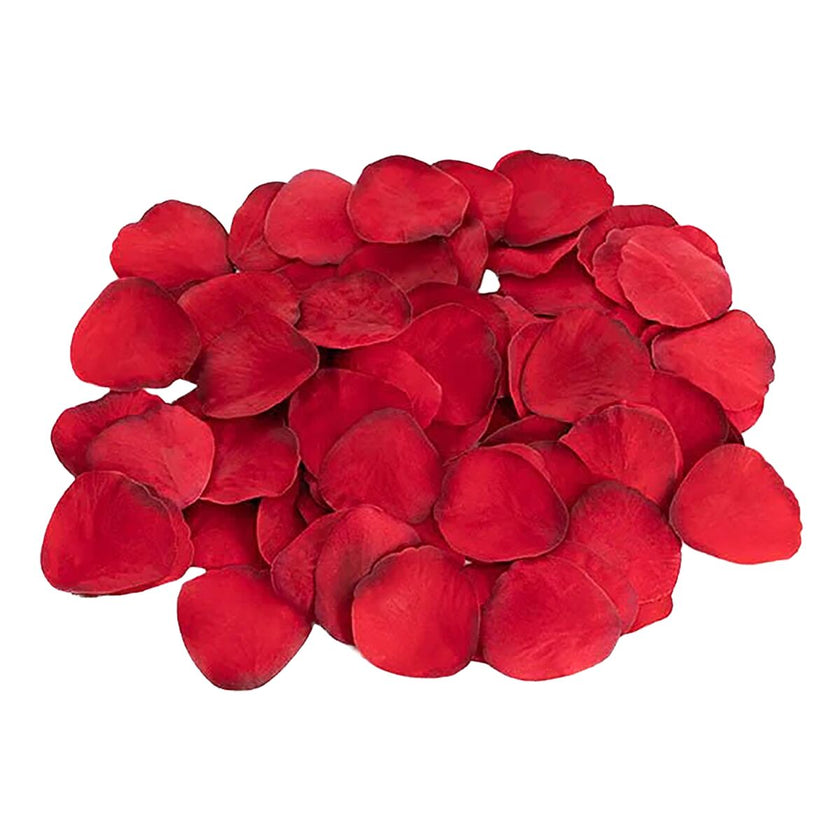 V5H4D73644255C1DC50229FAEE9A585DEBCR5547468P4