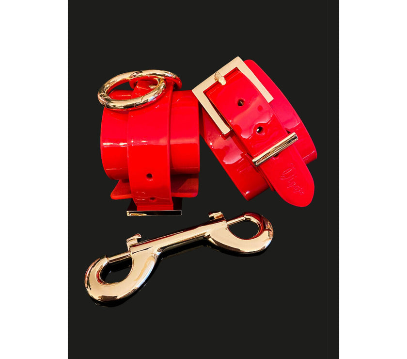 V5HFF6AD4A11323A234298D710AE1DE6CE9R4877950P2